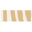 Good  Life: January 2022- Washi Tape Tan Zebra Stripe