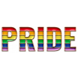 GL22 June Pride Enamel Pride Pin 