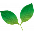 The Good Life: June 2022 Elements - Leaf 1