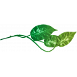 The Good Life: June 2022 Elements - Leaf 2