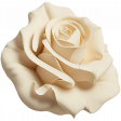 GL23 March April Metal Rose 2