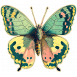 The Good Life: July & August 2023 Mixed Media Elements - Butterfly 1