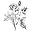 Rose Sticker 7