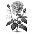 Rose Sticker 9