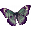 Formal Butterfly
