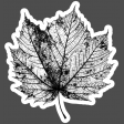 This Is Spooky Stickers: B&W Leaf 3
