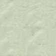 Pine Tree Solid Paper 1