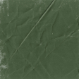 Pine Tree Solid Paper 4