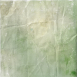Pine Tree Mixed Media Paper 8