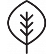 Fall Icon - Leaf 2