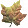 Leaf Red Silk - Our House Elements 
