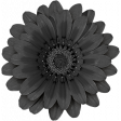 Avalon Black Flower