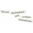 Secret Garden - Elements - Word Art Fairies