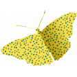 Enjoy Each Moment - Mini Kit - Butterfly