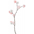 Fresh - Elements - Branch - Big