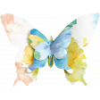 Butterflies - Butterfly - Stapled 01