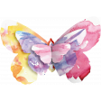Butterflies - Butterfly - Stapled 04