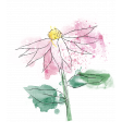 Mixed Media 5 - Elements - Echinacea Stamp