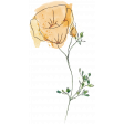 Mixed Media 5 - Elements - Eschscholzia Stamp