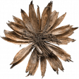 Autumn Day - Elements - Dried Flower 01