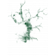 That Teenage Life - Elements - Painted Tree