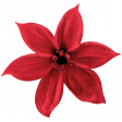 Christmas Day - Elements - Flower 01 - Red