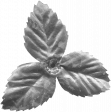 Design Pieces No.9 Leaves Template
