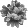 Flowers No.20 - Template 6
