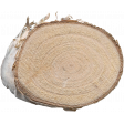 Wood Slices 02