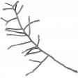 Leaves No.14-01 template