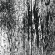 Textures No.6: Wood Texture 01