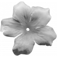 Flowers No.6 Templates - Template 6