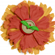 KMRD-Spicy Chili-flower1