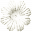 KMRD-My Favorite Truck-flower06