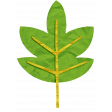 KMRD-Colorful Autumn-leaf-green