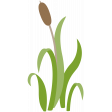 ps_paulinethompson_DATP_cattail 1