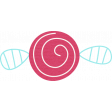ps_paulinethompson_Bloom_flower 4