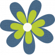 ps_paulinethompson_Bloom_flower 11