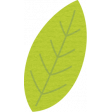 ps_paulinethompson_Bloom_leaf 2