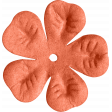 brishti_flower 1-4