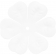 brishti_flower 2-6