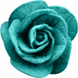 brishti_rose 1