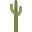 southwestern_cactus 1