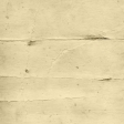 owl-family_paper 3