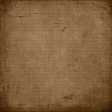 owl-family_paper 4
