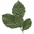 ErodedHues_leaves