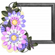 ps_paulinethompson_SLSB_cluster frame