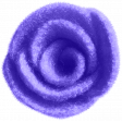 ps_paulinethompson_SLSB_felt rose 6