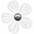 ps_paulinethompson_SLSB_flower 5-7