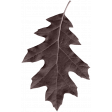 ps_paulinethompson_masculine_leaf 2
